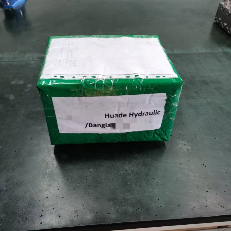 Huade hüdrauliline suunaklapp 4WE10J31B/CG24N9K4 Täitnud kohandatud saadetis täna